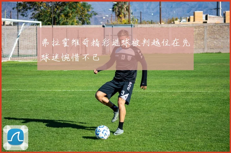 弗拉霍维奇精彩进球被判越位在先球迷惋惜不已